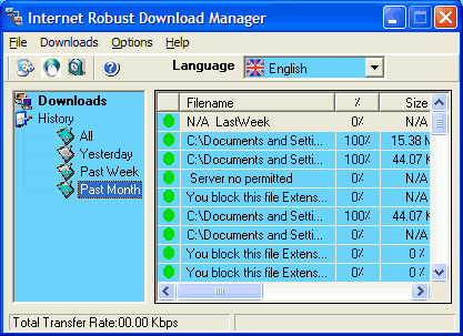 FREE Robust Internet Download Manager Screenshot